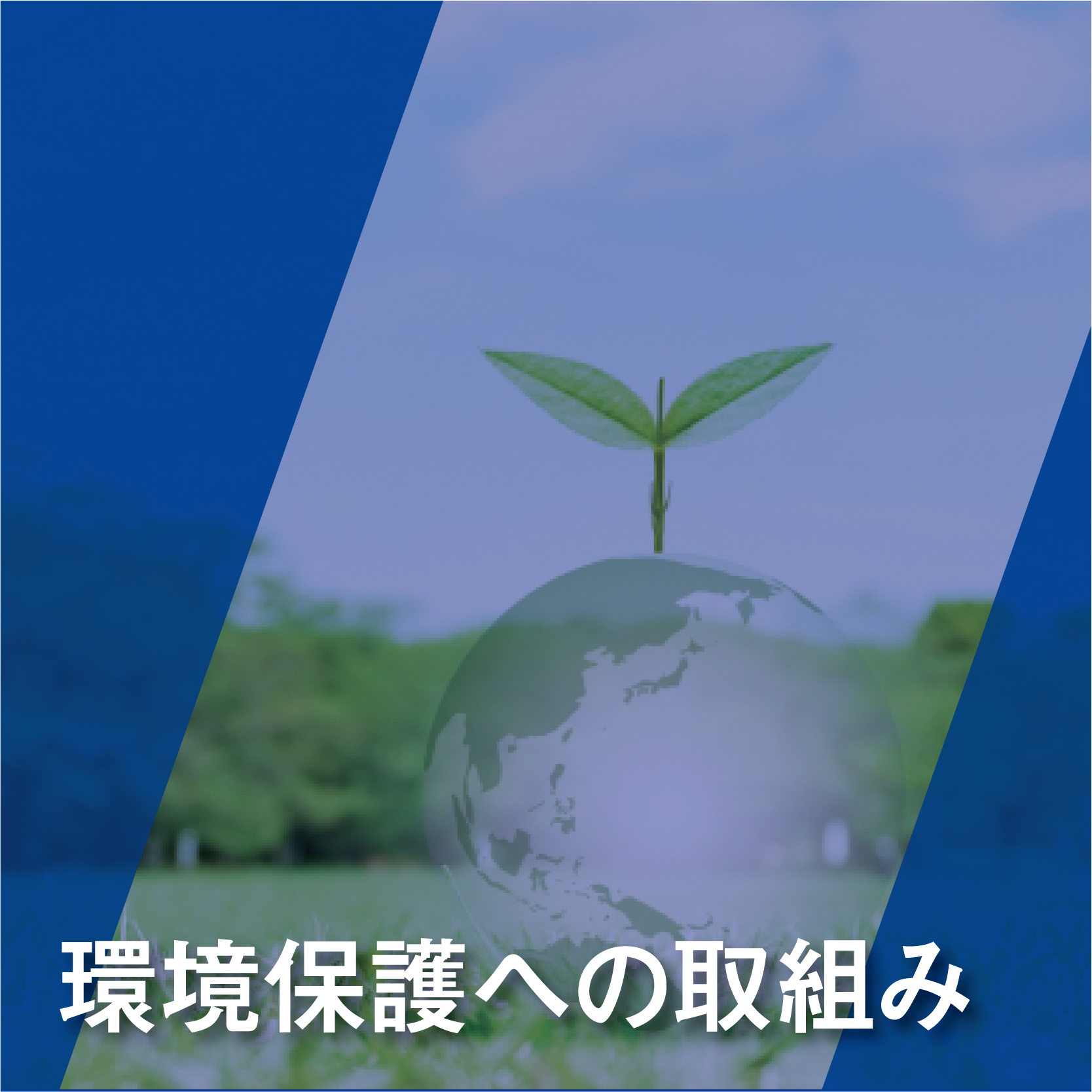環境保護への取り組み